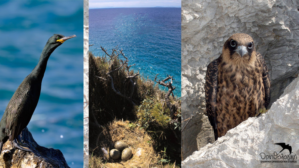 Τα "Γκαλαπάγκος της Μεσογείου" στο Ν. Αιγαίο δεν θα γεμίσουν  ανεμογεννήτριες | Santorini Magazine