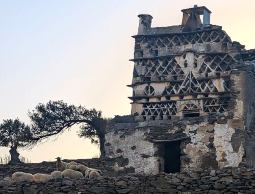 Καταγραφή των περιστεριώνων της Τήνου Στο νησί: Τήνος Χρήστος Αρτέμης © Μουσείο Κυκλαδικής Τέχνης